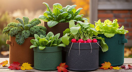 Embrace the Fall Harvest with Urban Acre Bags: A Guide for Large-Garden Growers