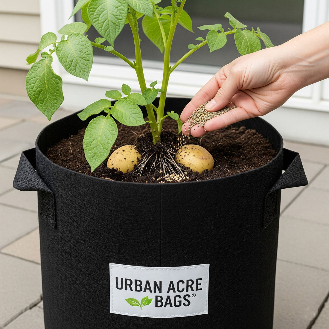 Feeding Your Roots: Essential Fertilizing Tips for Thriving Urban Acre Bag Harvests!
